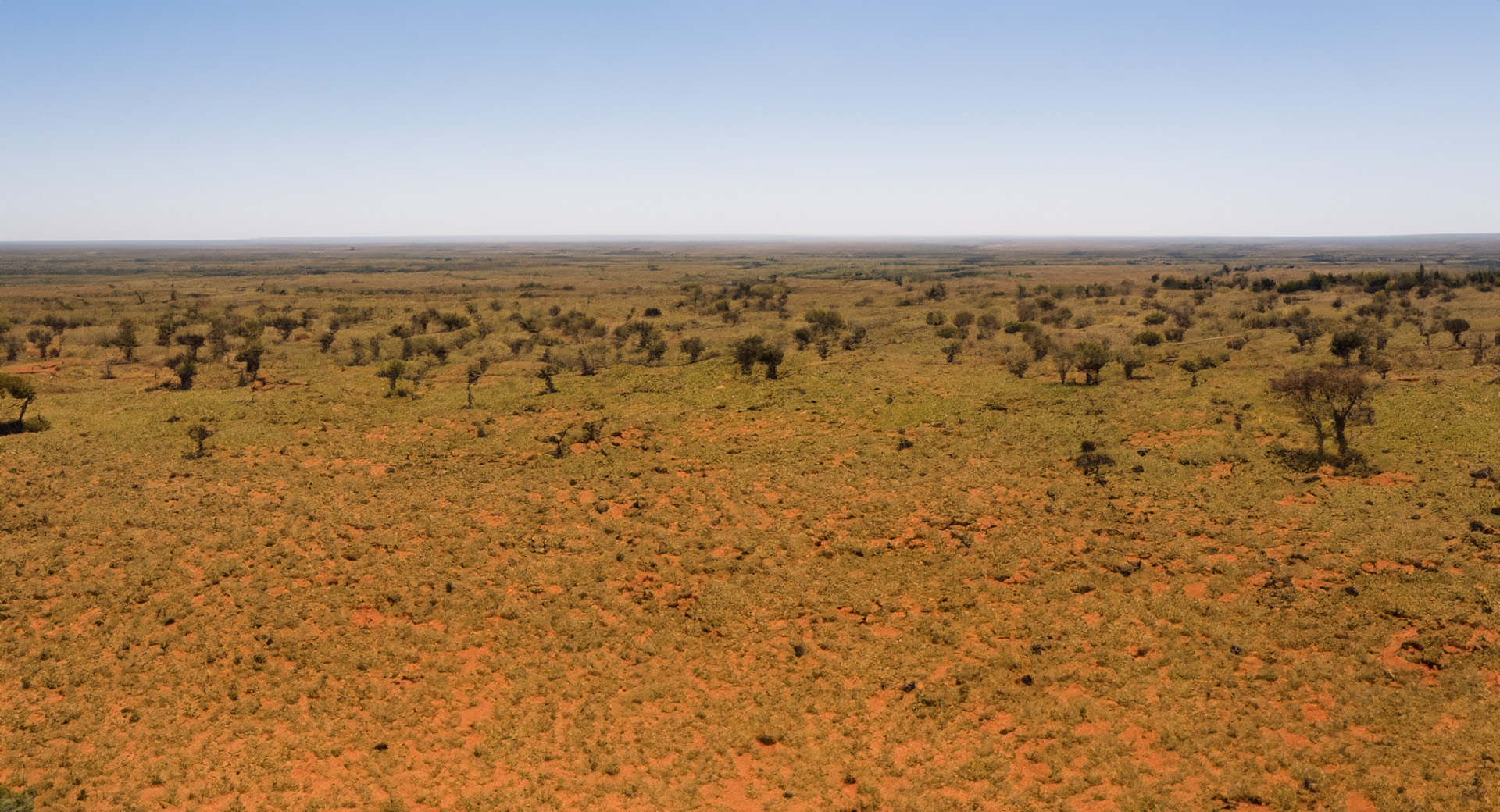Rangelands Decision Support Tool